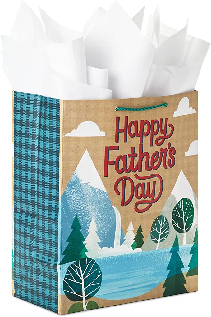 15 Fathers Day Guft Amazon Hallmark Large Fathers Day Gift Bag