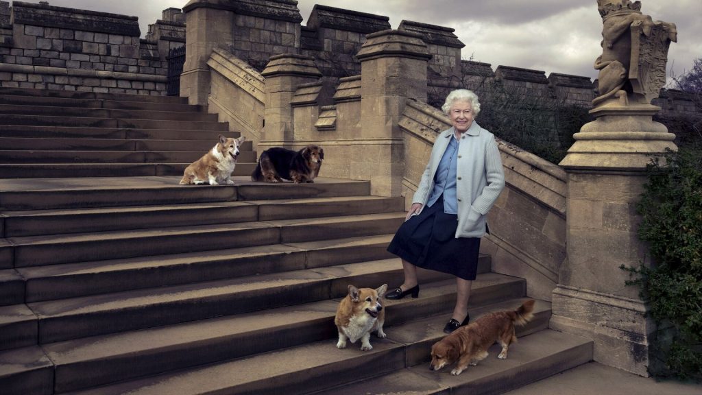 Queen Elizabeth II and her corgis